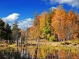 Autumn Marsh_22974